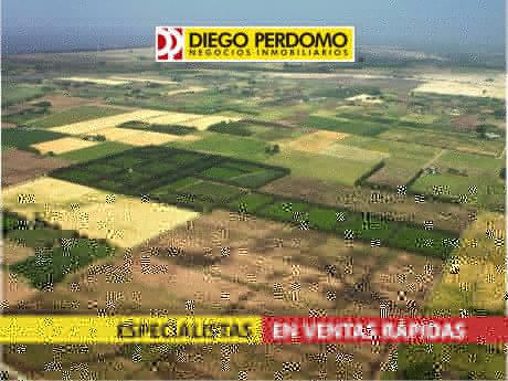 Chacra En Venta, 4.5 Has, Localidad De Libertad