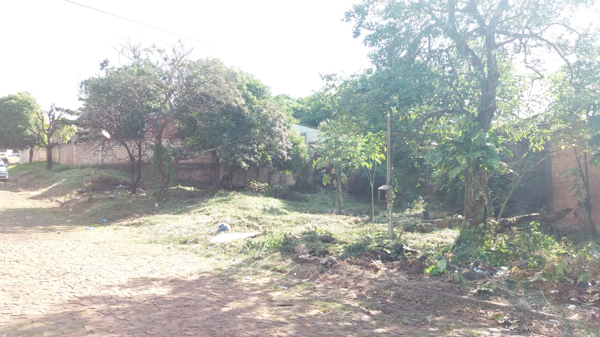 Vendo Terreno Km 7 Barrio Carolina CDE Por: 200 Millones — foto 3