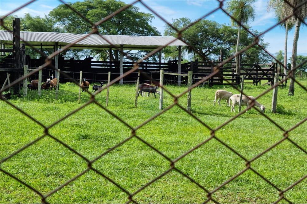 VENDO CASA CON ARROYO EN LOMA GRANDE — foto 3