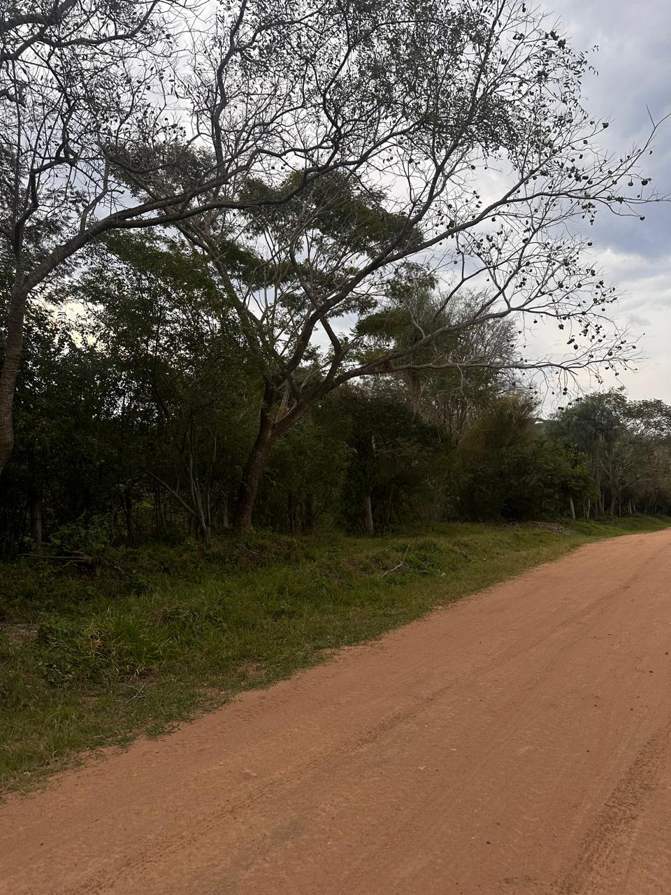 Venta Gran Terreno En Sanber - Ciervo Cua — foto 2