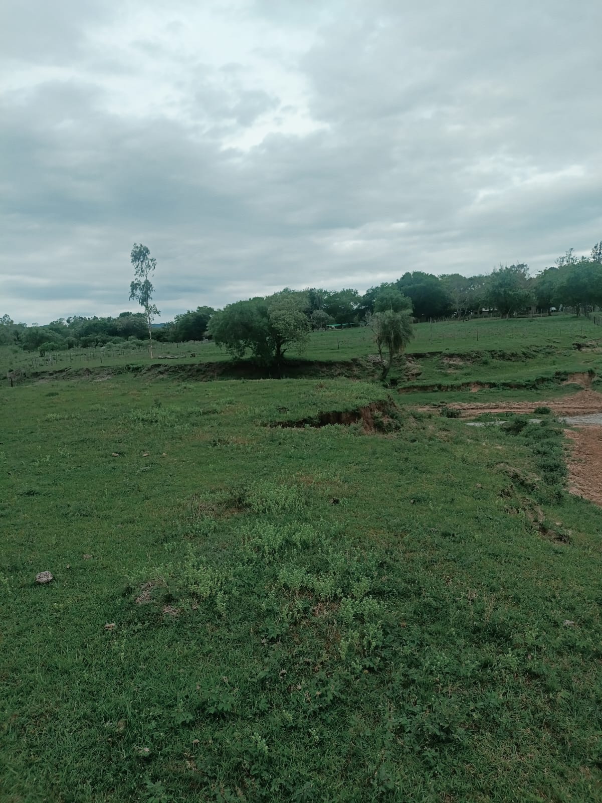 YBYCUÍ TERRENO — foto 3