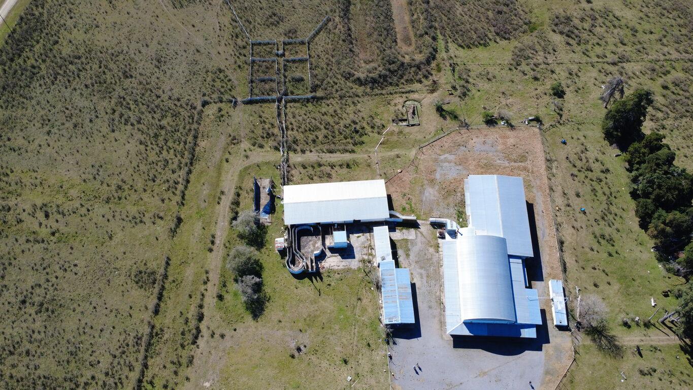 Frigorífico en venta/Alquiler sobre Ruta 11 – Villa Rodríguez · Foto 5