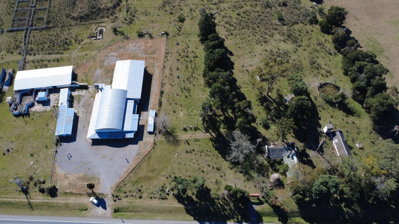 Frigorífico en venta/Alquiler sobre Ruta 11 – Villa Rodríguez · Foto 6