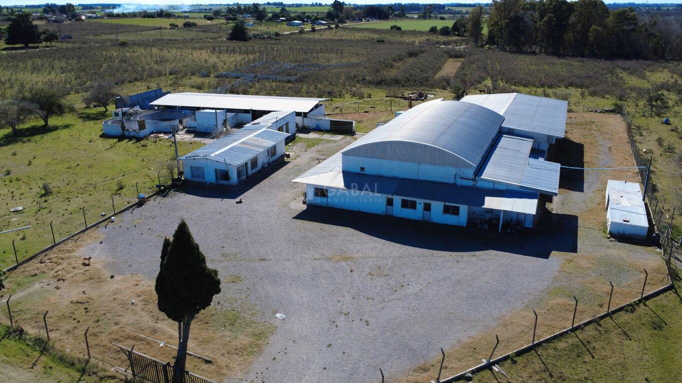 Frigorífico en venta/Alquiler sobre Ruta 11 – Villa Rodríguez