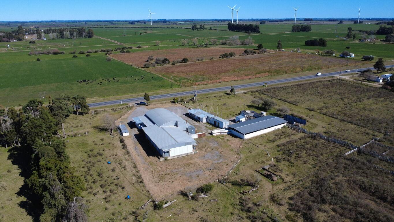 Frigorífico en venta/Alquiler sobre Ruta 11 – Villa Rodríguez · Foto 2