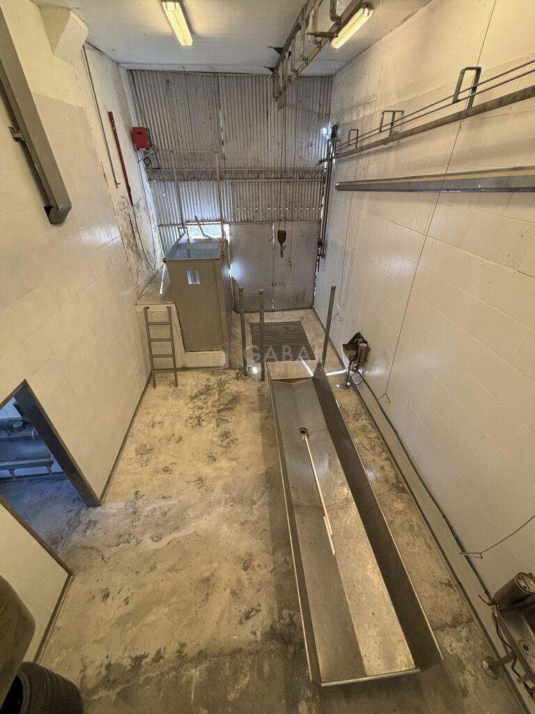 Frigorífico en venta/Alquiler sobre Ruta 11 – Villa Rodríguez · Foto 7