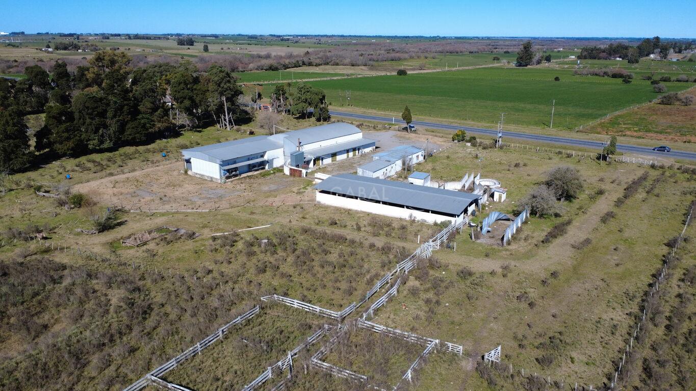 Frigorífico en venta/Alquiler sobre Ruta 11 – Villa Rodríguez · Foto 4