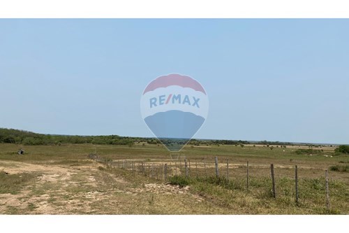 Estancia de 10.019 Hectáreas en Caaguazú con pista de aterrizaje — foto 3