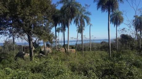 Vendo 33.000 M2 En Altos – San Ber Con Excepcional Vista Al Lago
