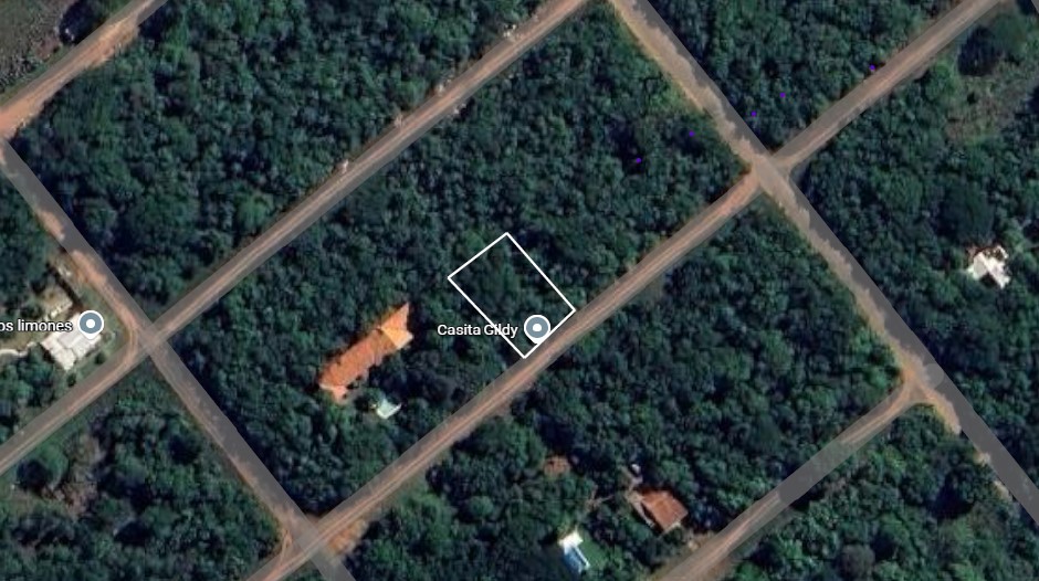 Tu Refugio En Altos Bosque Nativo | 360 M² | G. 60 Millones — foto 2