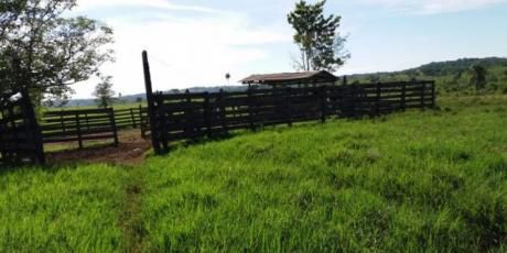 Estancia Ganadera En Caaguazú. 178 Hectáreas Para Cria Y Engorde