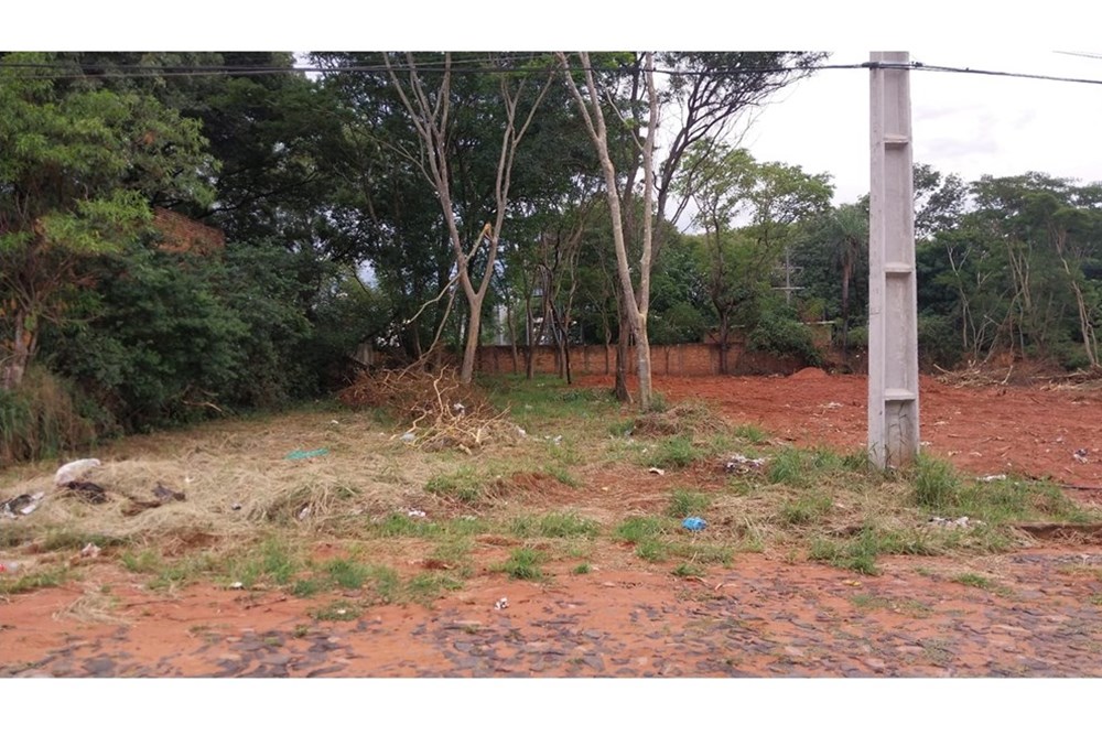 143025233-1 — foto 2