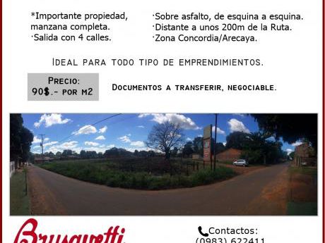 Vendo 5.000m2 En Mariano Roque Alonso