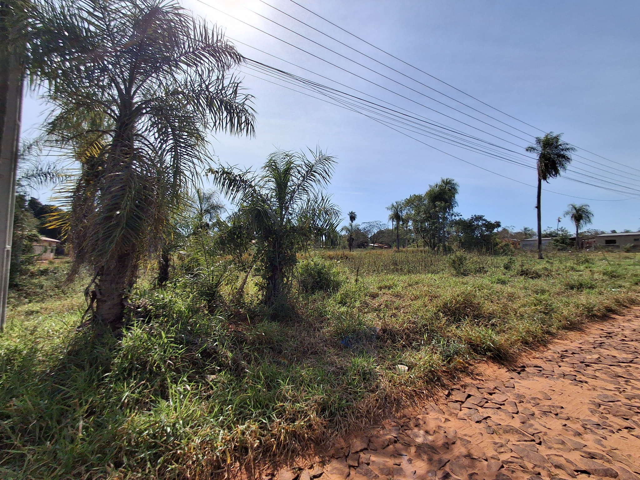 VENDO AMPLIO TERRENO EN ITAUGUA — foto 3