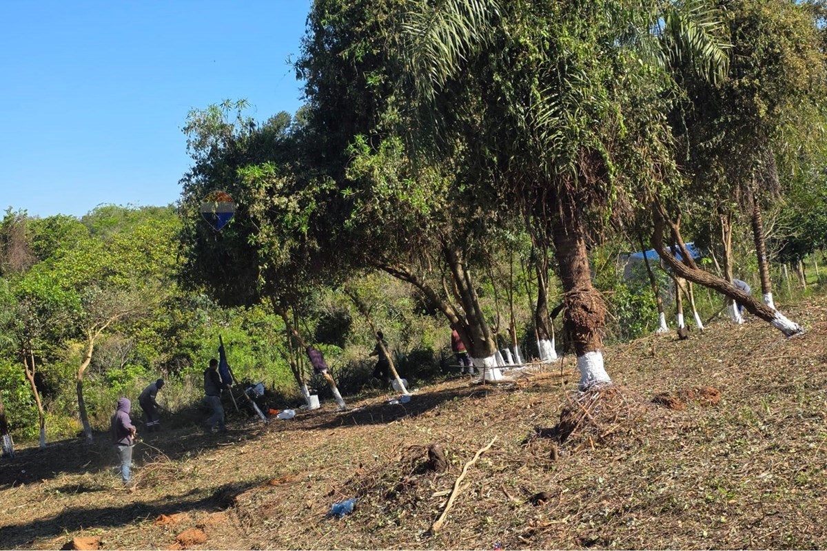 Terreno - Venta - Atyra, Cordillera, Paraguay — foto 3