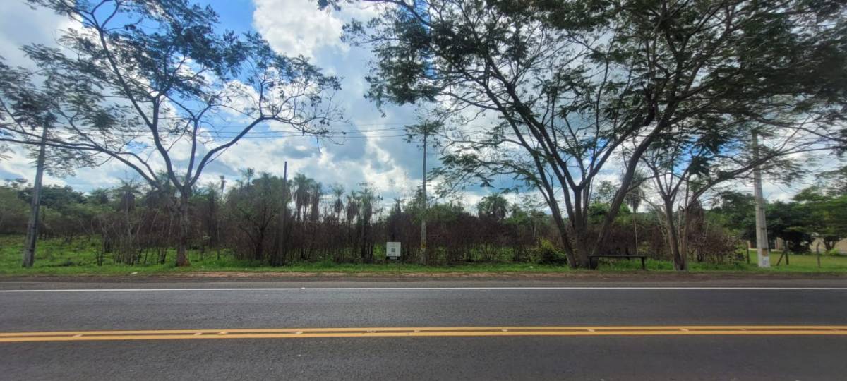 VENDO TERRENO SOBRE RUTA DE 1.400 m2 EN ITACURUBI DE LA CORDILLERA — foto 3