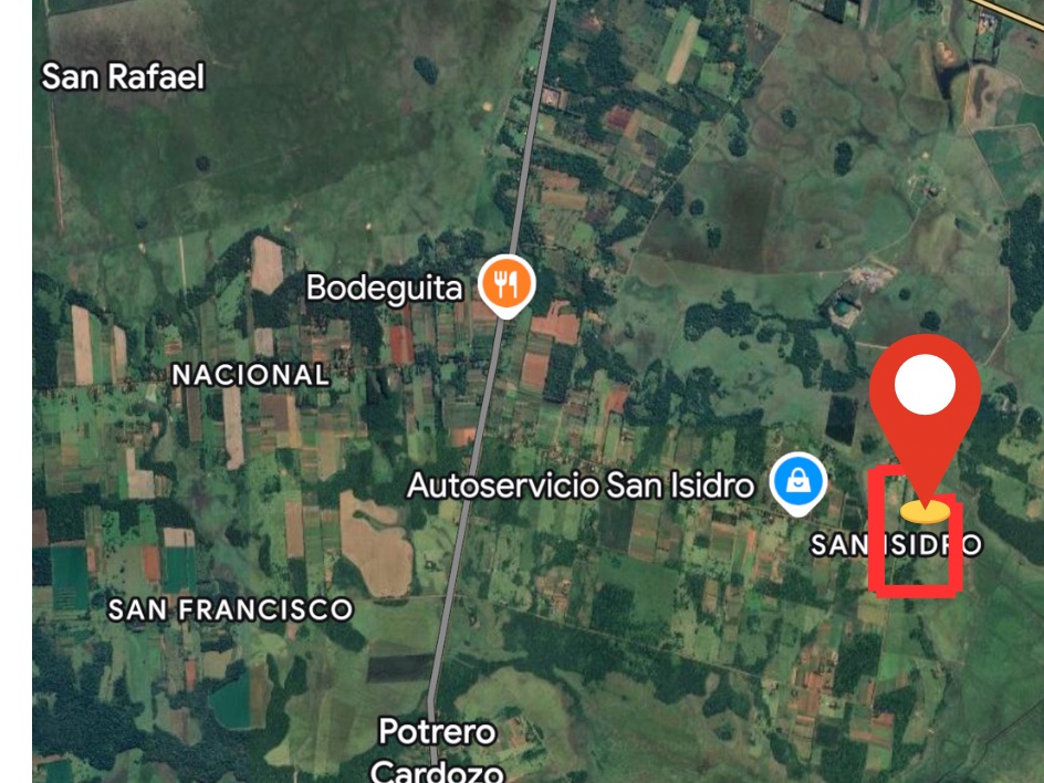 VENDO PROPIEDAD RURAL EN CORONEL BOGADO — foto 2