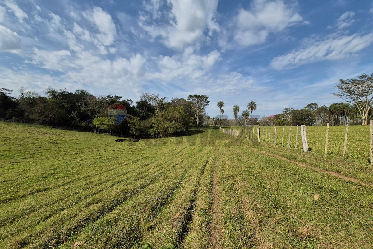 VENDO CAMPO AGRICOLA EN CAAZAPA 60 HECTAREAS — foto 2