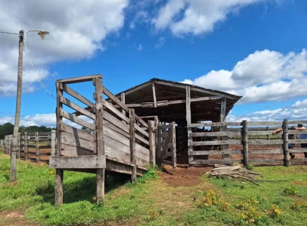 Vendo Hermosa Estancia en Horqueta -Concepción 900 hectáreas! — foto 2