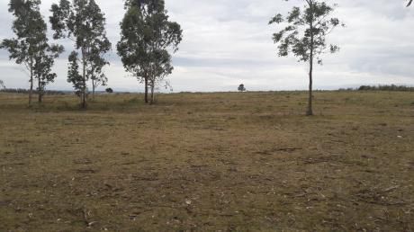 Chacra A Poca Distancia De Interbalnearia