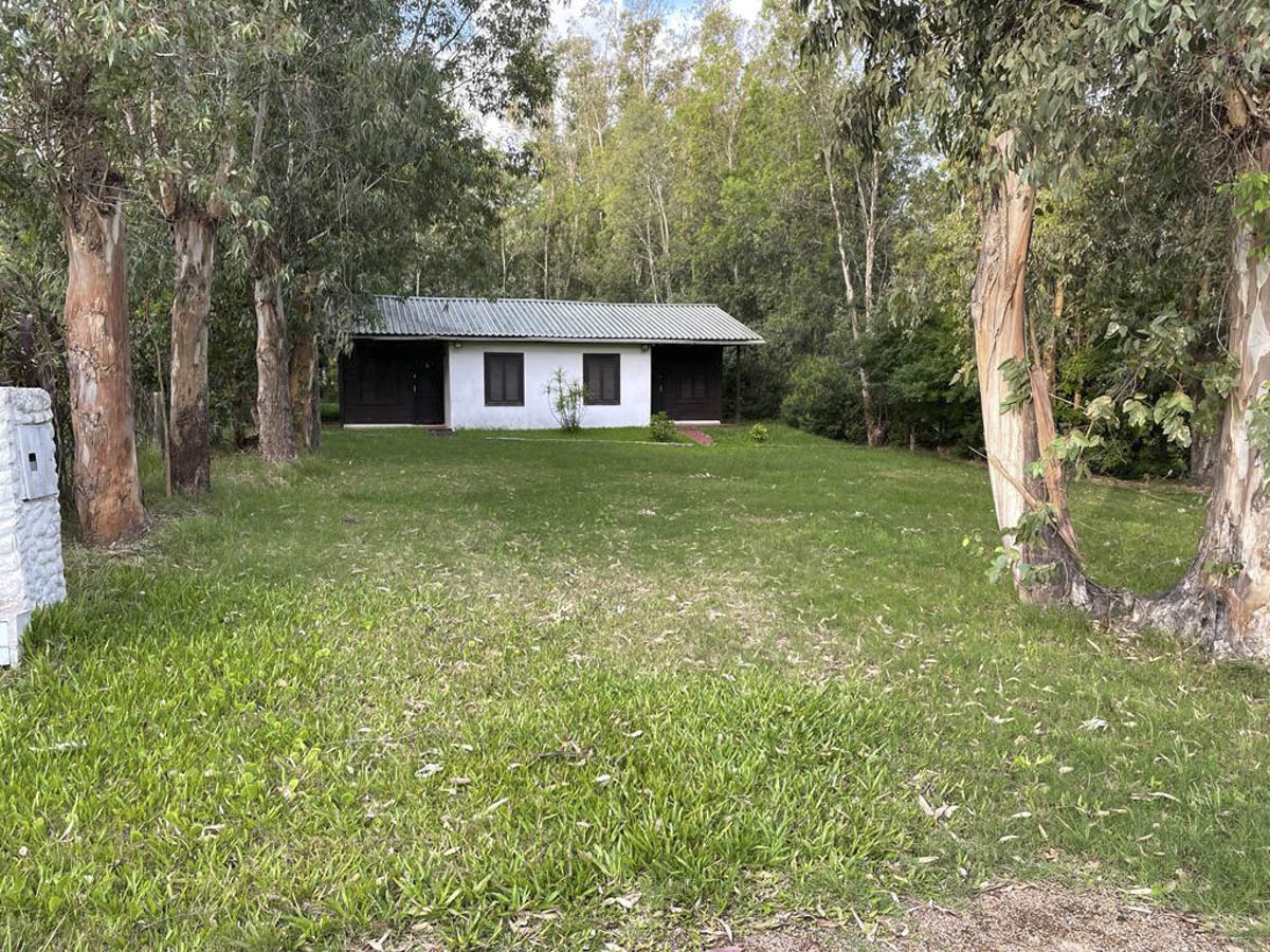 Foto 2 de 12