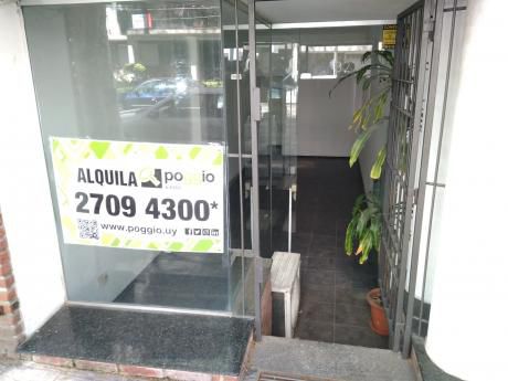 Local Comercial En Alquiler En El Corazón De Pocitos