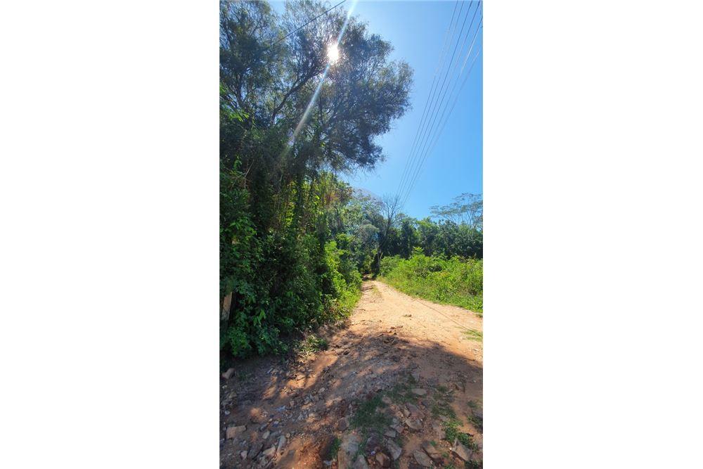 VENDO TERRENO EN SAN BERNARIDNO CIERVO CUA CON VISTA AL LAGO — foto 3