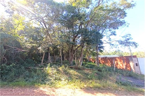 VENDO TERRENO EN SAN BERNARDINO — foto 3