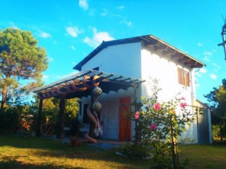 Girasoles