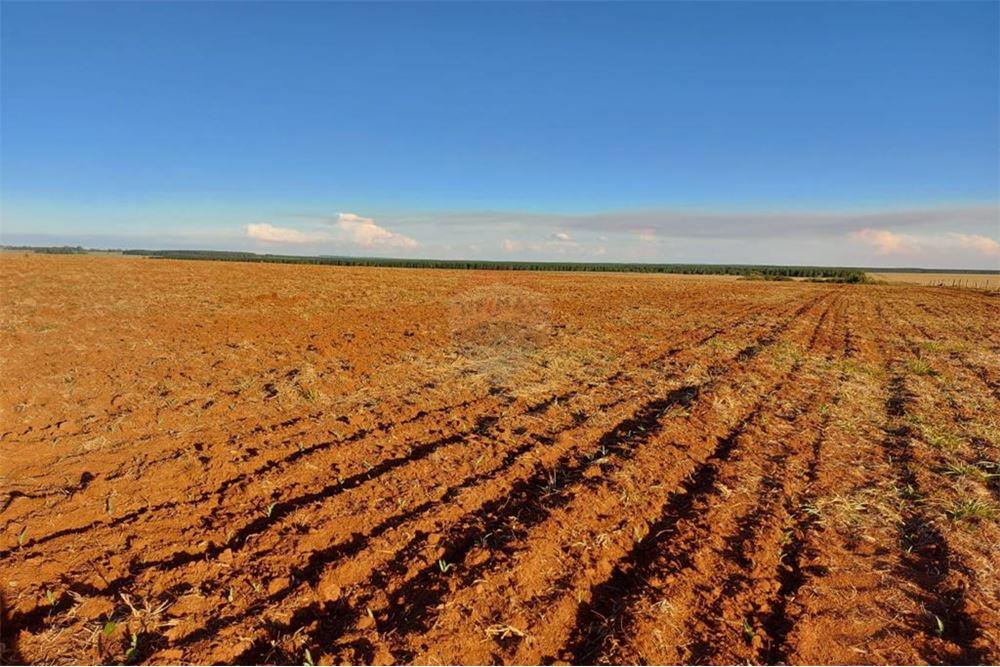 EN VENTA CAMPO DESARROLLADO LIMITE PY-ARG — foto 2