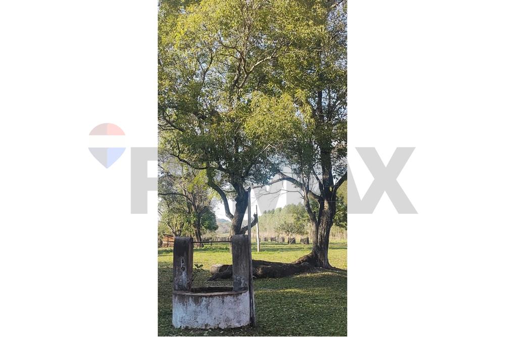 VENDON CASI 15   HECTAREAS EN ITACURUBI DE LA CORDILLERA — foto 3