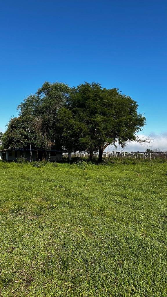 EN VENTA CAMPO DE 50 HAS EN ARROYOS Y ESTEROS — foto 2