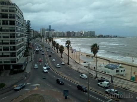 Venta Apartamentos Rambla Pocitos