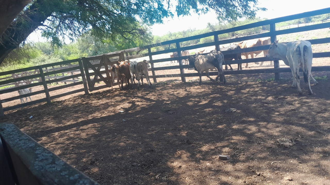 Vendo HERMOSA estancia en Boquerón — foto 2