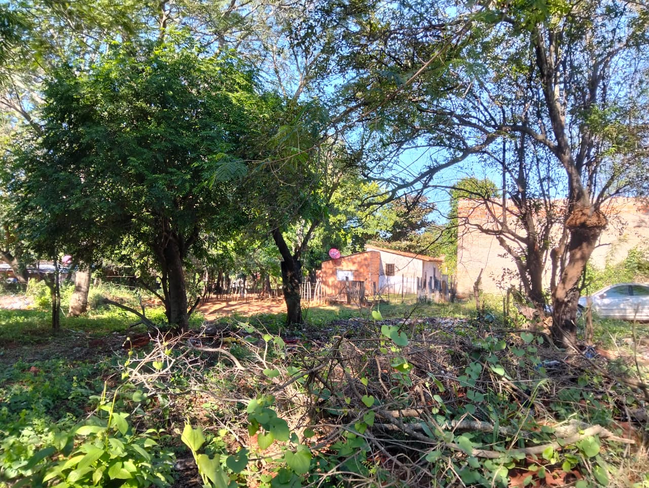 Terreno en venta en Limpio, Don Bosco — foto 3