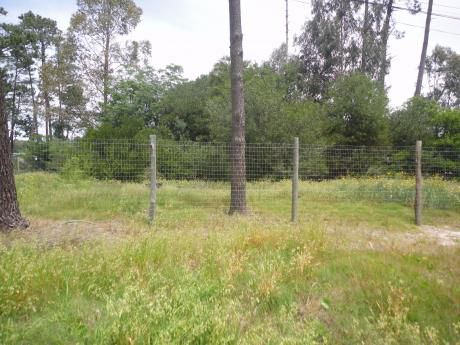 0e0te020pp Terreno En Parque Del Plata Norte