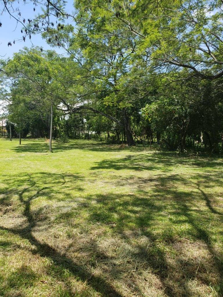 ¡OPORTUNIDAD ÚNICA EN PARAGUARÍ! Vendo amplio lote ideal para quinta o inversión — foto 2