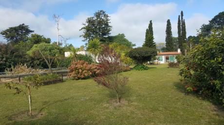 Casa Al Sur Terreno Parquizado Con Frente A Ruta Y Calle