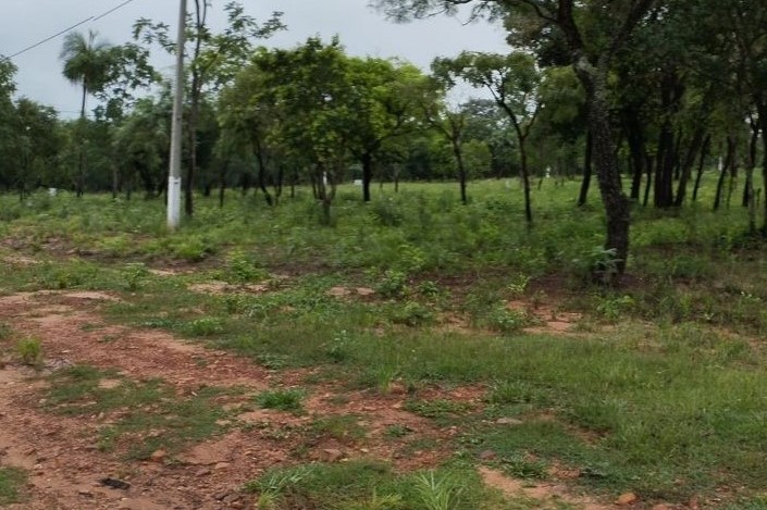 Venta Terreno en Loma Grande - Cordillera — foto 3