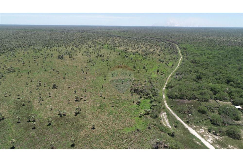 Campo Ganadero Ruta 12 Pte. Hayes. Ninfa. — foto 2