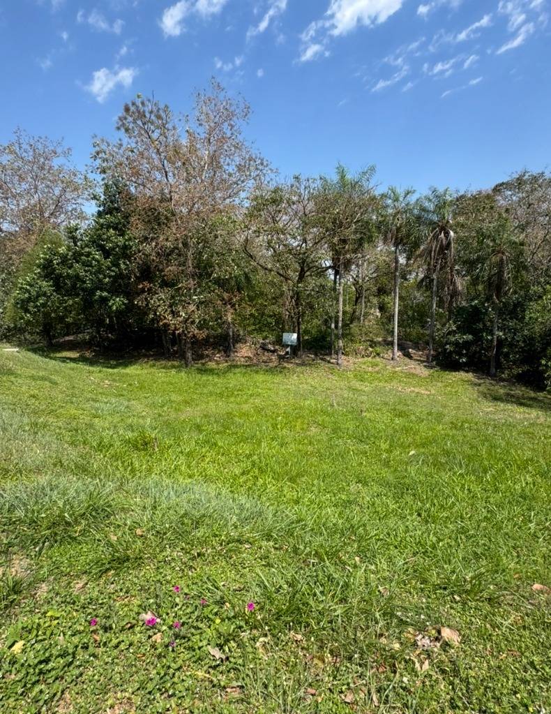 VENDO TERRENO EN SAN BERNARDINO — foto 2