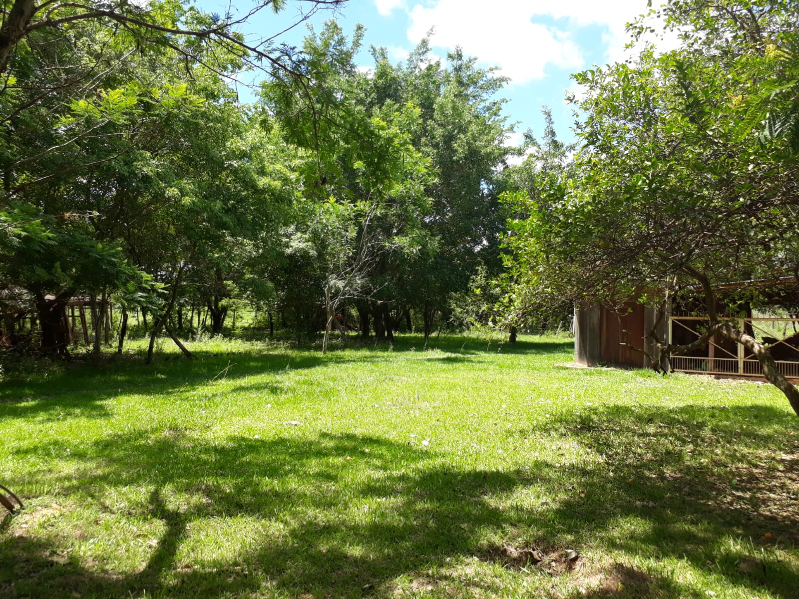 VENDO PROPIEDAD RURAL EN ARROYOS Y ESTEROS ISLA GUAZU — foto 2