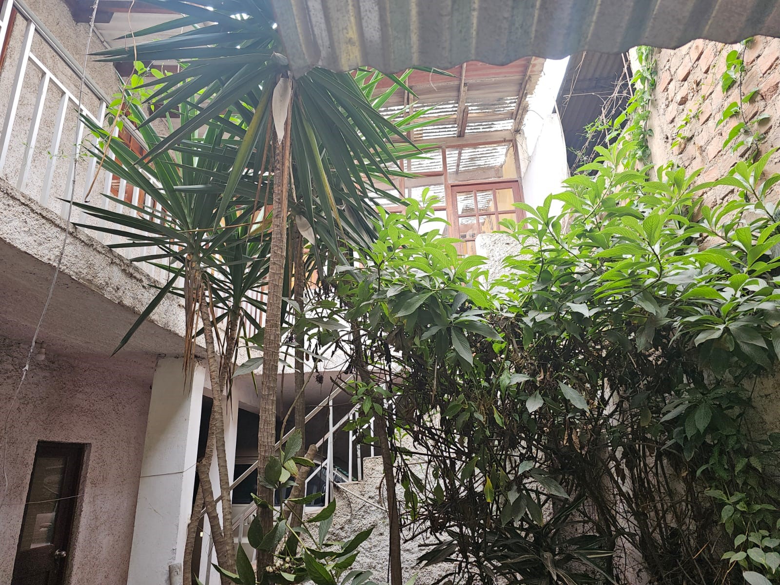 Imagen 9 de Casa