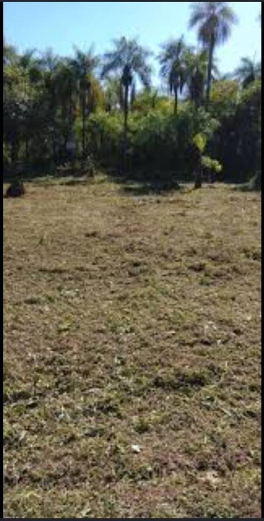 VENDO TERRENOS EN CAMPIÑA DORADA, CAACUPÉ — foto 3