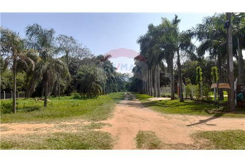 Terreno - Venta - Paraguay Cordillera San Bernardino — foto 2