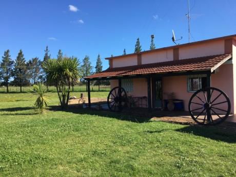 Venta De Campo San Jacinto !!! Ruta 11