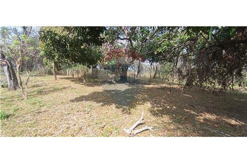 Terreno - Venta - Paraguay Cordillera San Bernardino — foto 2