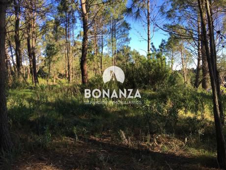 Terreno En Venta, Piriápolis, Punta Colorada