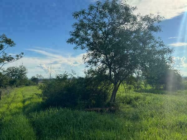VENDO CAMPO EN ARROYOS Y ESTEROS - 48 HECTAREAS — foto 3