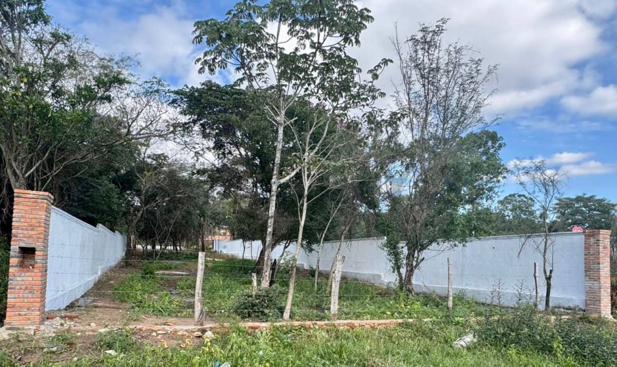 VENDO AMPLIO TERRENO EN SAN BERNARDINO — foto 2